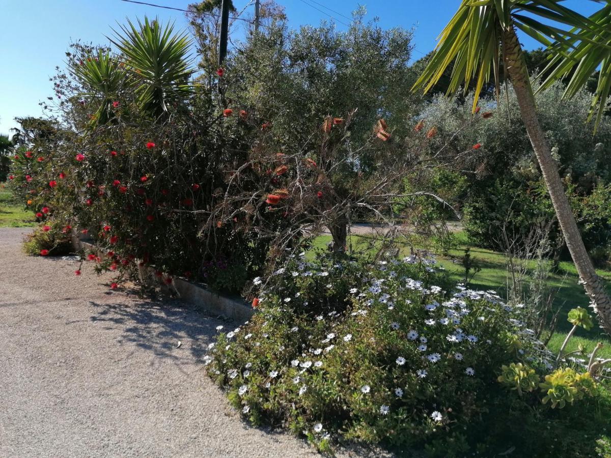 Il Patio Alghero Santa Maria la Palma Kültér fotó